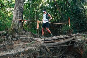 BIB: 
                            <button type="button" onclick="openModal(27752079)" class="btn btn-primary btn-sm float-right btn-popup" data-toggle="modal" data-target=".modal-high-quality">
                        <i class="fas fa-shopping-cart"></i> Add to Cart
                    </button>
                                            <button type="button" onclick="isThisMe(27752079, true)" class="btn btn-success btn-sm float-right btn-popup btn-isme hidden" data-toggle="tooltip" data-placement="bottom" title="นี่คือรูปของคุณใช่ไหม คลิกที่นี่เพื่อเอาเข้าอัลบั้ม">
                        <i class="fas fa-plus"></i> Add to album
                    </button>
                    <button type="button" onclick="isThisMe(27752079, false)" class="btn btn-warning btn-sm float-right btn-popup btn-isnotme hidden">
                        <i class="fas fa-ban"></i> Remove from album
                    </button>